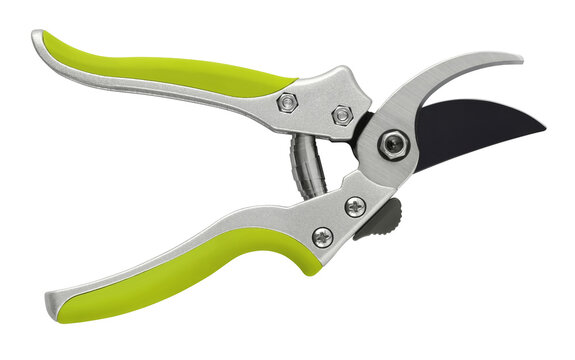 Gardening tool equipment. Single steel garden scissor with green plastic grip for pruned or plants, and flowers garden work. Pruning of vineyard or fruit tree. Top view isolated on white background