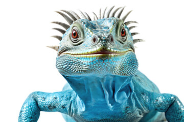 blue iguana isolated created with Generative AI technology - obrazy, fototapety, plakaty
