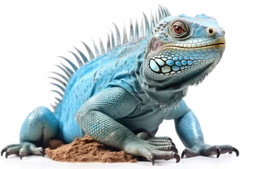 Foto op Canvas blue iguana isolated created with Generative AI technology © Poprock3d