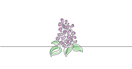 Vector illustration of lilac bush plant. Simple one line art with the branch of lilac bush