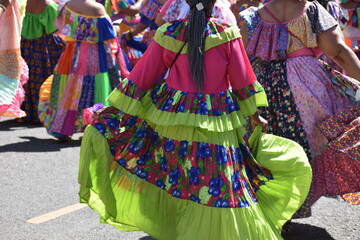 Panamenial heritage cultural dress typical cultural parade