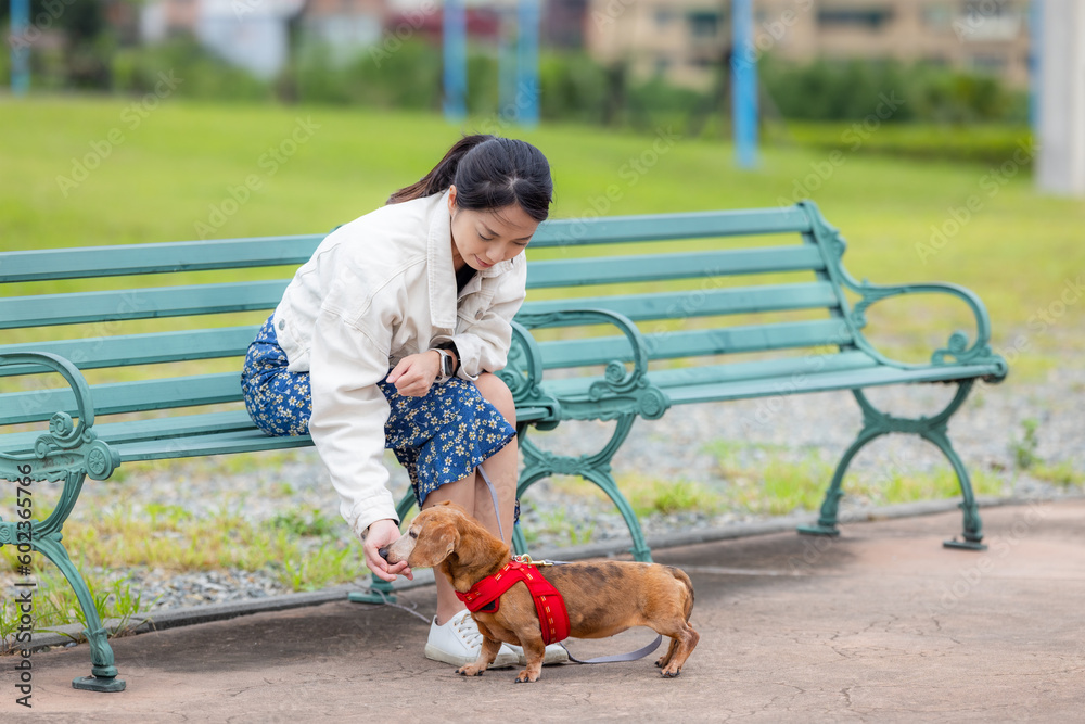 Sticker Woman feed her dachshund dog at park