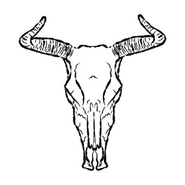 Goat skull, outline drawing. Element for design