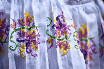 Colorfull panemian pollera folklore typical dress women parade