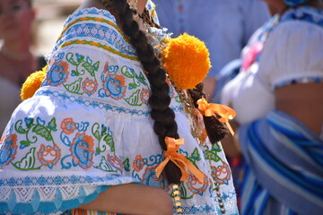 Colorfull panemian pollera folklore typical dress women parade