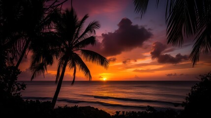 Fototapeta na wymiar Beach sunset with palm trees and sky Beautiful Natural Photograph Fresh Green Lifestyle