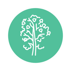 Aspen tree color line icon. Pictogram for web page