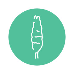 Poplar tree color line icon. Pictogram for web page