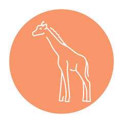 Giraffe color line illustration