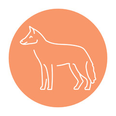 Jackal color line illustration