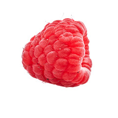  Delicious single raspberry over isolated white background