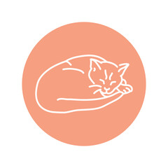 Sleeping cat color line icon. Pictogram for web page