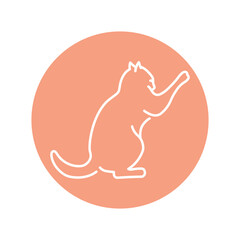 Evil cat fights color line icon. Pictogram for web page