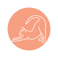 Happy cat stretches color line icon. Pictogram for web page
