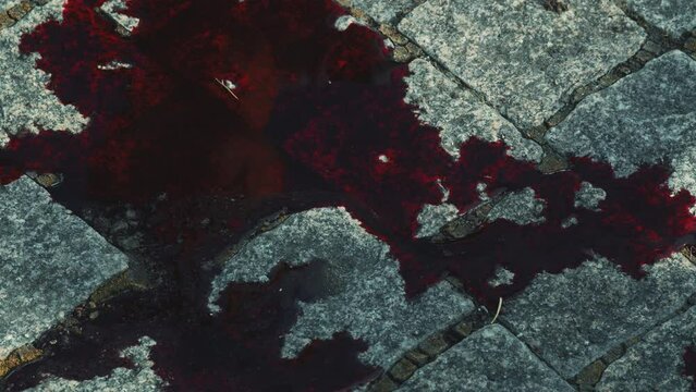 Spilled blood on the asphalt. Stockfootage. A close shot of red goo on the road that shimmers and scares.