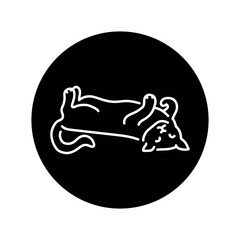 Happy sleeping cat on back color line icon. Pictogram for web page