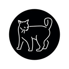 Playful cat standing color line icon. Pictogram for web page