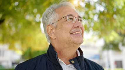 Middle age man with grey hair smiling confident looking up at park