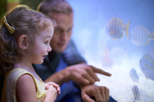 Dad, aquarium and girl looking at fish for learning, curiosity and knowledge, education and bonding. Father, oceanarium and child with parent watching marine life underwater in fishtank on vacation.