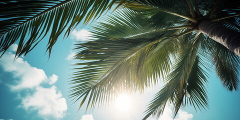 Fototapeta na wymiar Kokospalme Palmenblätter mit blauen Himmel Hintergrund - mit KI erstellt 