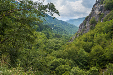 Fototapeta na wymiar Summer mountain forest view in Debar province, North Macedonia, Europe.