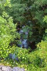 Summer mountains countryside view from Elenski Skok ancient small pedestrian stone bridge above stream in deep gorge. North Macedonia not far from Debar Town, Europe. © wildman