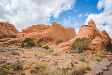 desert and mountain landscape of arches national park