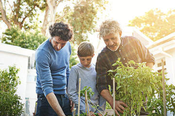 A grandfather, father and boy working in garden with family, generations and nature with plants in home backyard. Bonding, love and care with helping men and child outdoor gardening with environment - obrazy, fototapety, plakaty