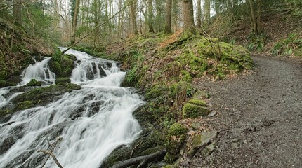 Obraz premium A small creek