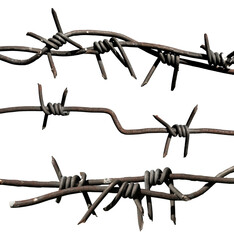 Pieces of barbed wire close-up on a white background. The escape. Protection. Barbed wire