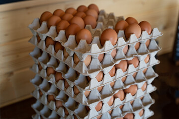 Eier auf Papppaletten in einen Verkaufsraum werden zum Verkauf angeboten.
