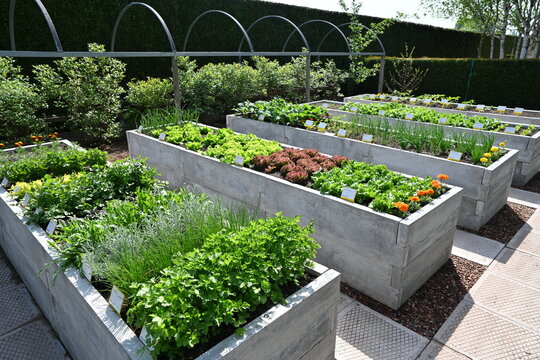 Garden colors