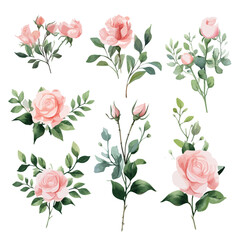 Set of floral watecolor. Flower pink rose, green leaves. Floral poster, invitation floral. Vector arrangements for greeting card or invitation design