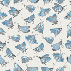 Seamless pattern with fantasy moths, butterflies in pencil drawing sketch. Happy summer illustration. Wallpaper, textile, backgound for kids