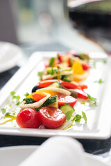 Salad with tomato, italian ricotta cheese and basil