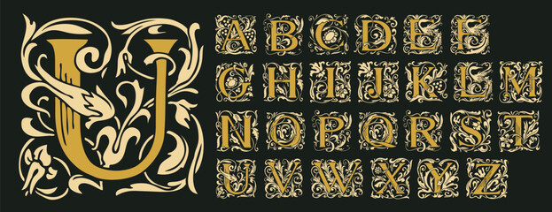 Vintage Alphabet, vector set of hand-drawn medieval, ornate initial alphabet letters. Luxury design of Beautiful royal font for card, invitation, monogram, label, logo - obrazy, fototapety, plakaty