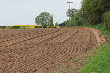 A ploughed field with trees an oilseed rape in back ground in North Yorkshire UK