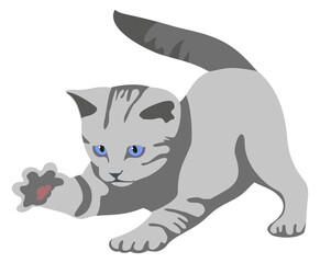 Fototapeta na wymiar Playing kitten. Cat catching something with paw. Gray striped animal