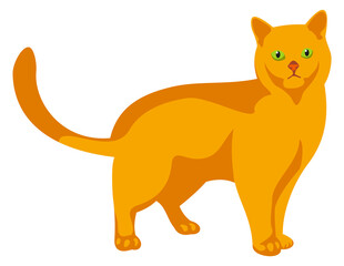 Ginger cat. Yellow pet standing. Cute animal