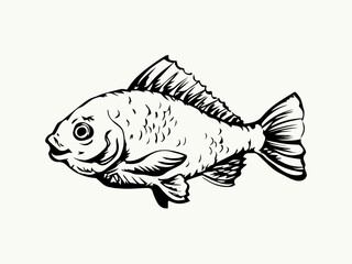 Vector drawing. Fish in the water