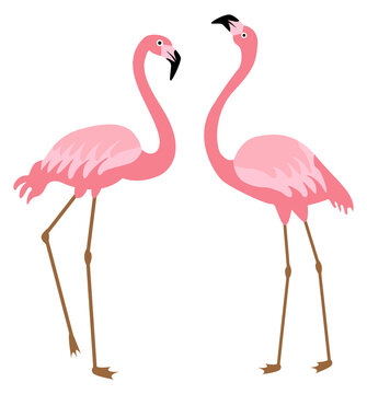 Pink flamingo pair icon. Romantic tropical birds
