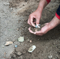 Male hands choose stones from the ground
