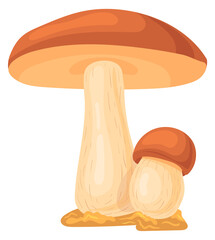 Brown cap mushroom. Cartoon boletus. Fungus icon