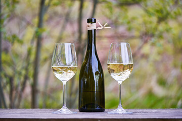Two glasses of white wine and traditional style of bottle with organic white wine outdoor in the vineyard ready for the degustation in Czech republic. Close up picture is taken in calm spring evening.