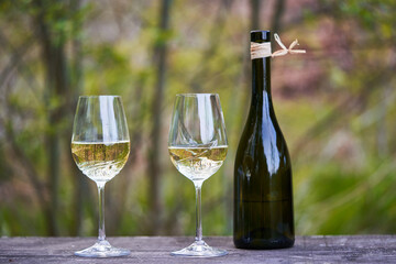 Two glasses of dry white wine and rustic style bottle form small winery on the wooden table outside during traditional spring degustation of new wines event in south moravian region of Czech Republic.