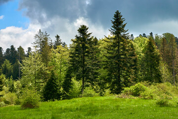 Paysage autour du Lac de Bonlieu