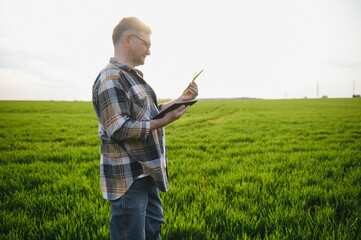 Portrait of senior farmer agronomist in wheat field. Successful organic food production and cultivation.