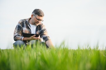 Experienced and confident farmer on his field. Portrait of senior farmer agronomist in wheat field.