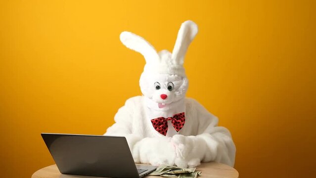 Easter Bunny, White Hare is working on a laptop and counts dollars, sorts banknotes.
