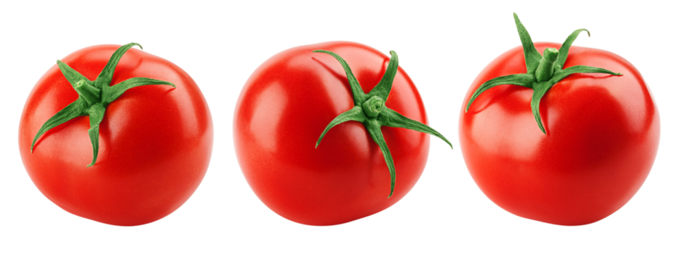 tomato isolated on white background, full depth of field